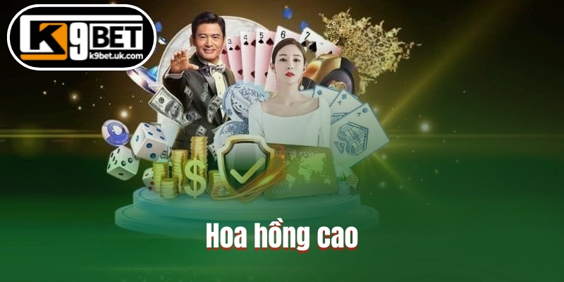 Hoa hồng cao