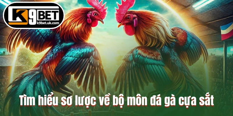 Tìm hiểu sơ lược về bộ môn đá gà cựa sắt